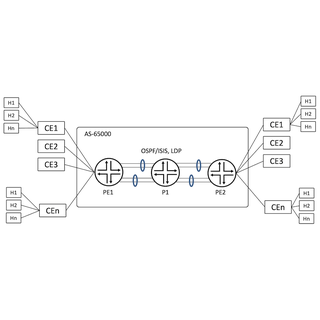 ACX7100/ACX7509 Validation: VPLS
