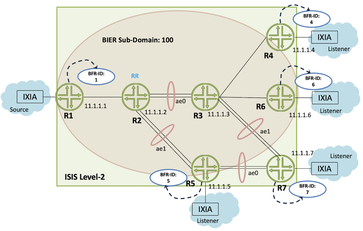 Multicast Source and Listeners Joining the Topology