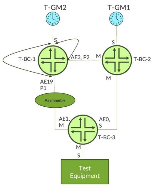 The topology model used by the EMEA Service Provider for the PPM feature