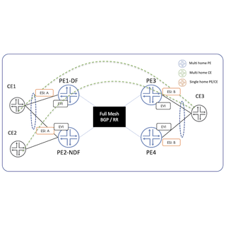 EVPN E-Line on PTX10k platforms