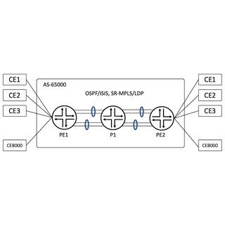 ACX7100/ACX7509 Validation: L2VPN