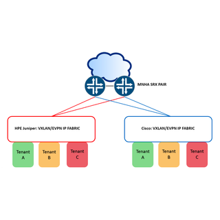 Secure Active/Active Multivendor Fabrics with MNHA