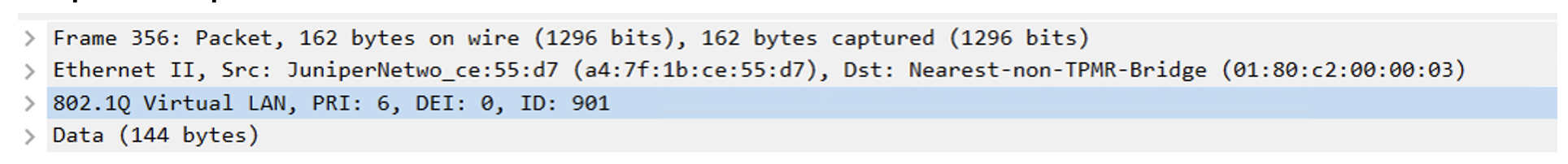 Captured Packet